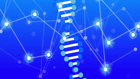 Animation-Von-DNA-Strängen-Und-Verbindungsnetzwerken
