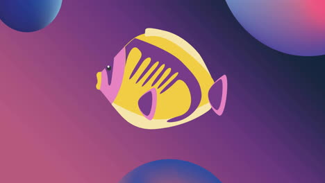 Animation-Von-Tropischen-Fischen-über-Blauen-Und-Rosa-Kugeln-Auf-Violettem-Hintergrund