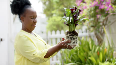Glückliche-Afroamerikanische-Seniorin-Pflanzt-Pflanzen-Um-Und-Lächelt-Im-Sonnigen-Garten,-Zeitlupe