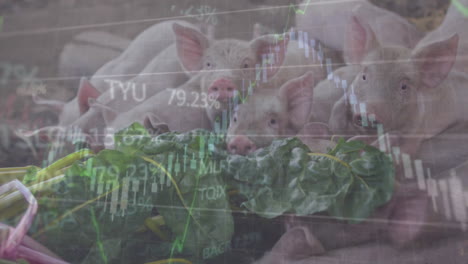 Animation-of-financial-data-processing-over-piglets