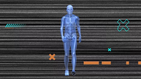 Animation-of-shapes-and-digital-human-skeleton-walking-over-lines-on-black-background