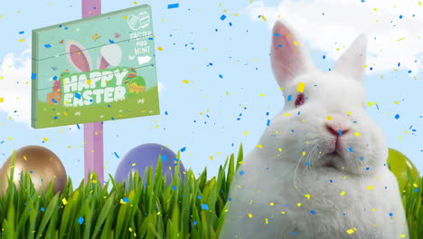 Animation-Von-Konfetti-über-Weißem-Kaninchen-Mit-Schild-Mit-Frohe-Ostern-Text-Auf-Blauem-Hintergrund