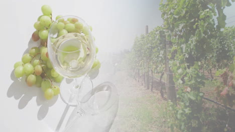 Composite-of-glass-of-white-wine-and-grapes-with-vineyard-on-white-background