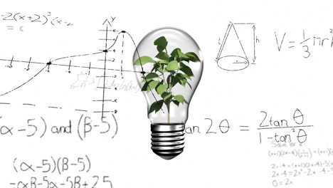 Animation-of-light-bulb-with-plant-over-woman's-hand-and-mathematical-data-processing