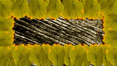 Animation-of-green-leaves-over-moving-lines