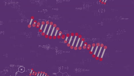 Animation-of-dna-chains-and-mathematical-equations-on-purple-background