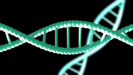 Animation-Von-Sich-Drehenden-DNA-Strängen-Mit-Kopierraum-Auf-Schwarzem-Hintergrund