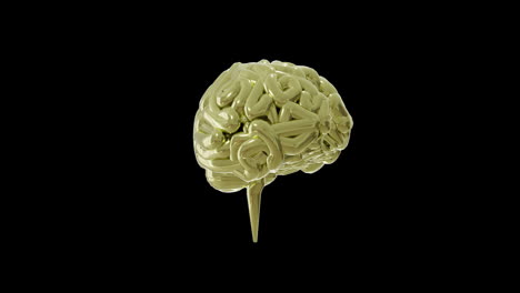 Animation-of-green-human-brain-spinning-on-black-background