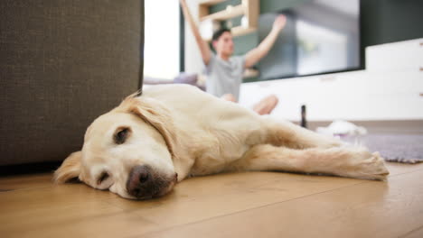 Hund-Schläft-Auf-Dem-Boden,-Im-Hintergrund-Sitzt-Ein-Mann-Mit-Gemischter-Abstammung-Beim-Yoga,-Zeitlupe