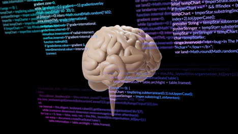 Animation-of-human-brain-and-data-processing-over-black-background