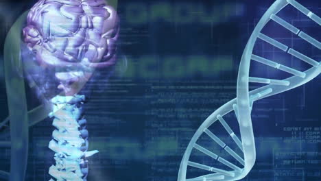 Animation-Der-Wissenschaftlichen-Datenverarbeitung-über-DNA-Stränge