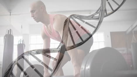 Animation-of-dna-strand-over-caucasian-man-lifting-barbell-on-gym