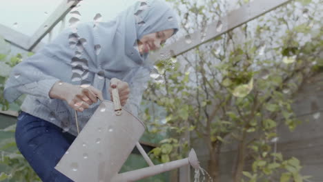 Animation-of-water-drops-over-biracial-woman-in-hijab-with-watering-can,-gardening