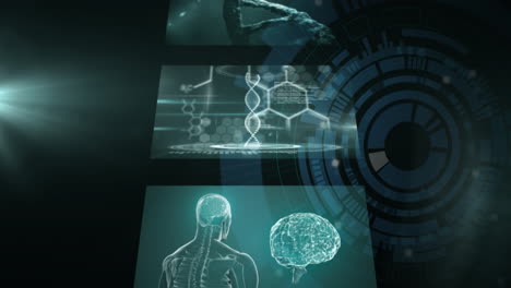 Animation-Der-Wissenschaftlichen-Datenverarbeitung,-Des-DNA-Strangs-Und-Des-Menschlichen-Gehirns-über-Bildschirmen-Auf-Dunklem-Hintergrund