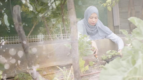 Animation-of-leaves-over-biracial-woman-in-hijab-gardening