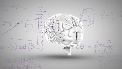 Animation-Der-Mathematischen-Datenverarbeitung-über-Dem-Menschlichen-Gehirn-Auf-Grauem-Hintergrund