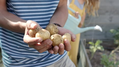 Happy-diverse-couple-working-in-garden-and-picking-potatoes,-slow-motion