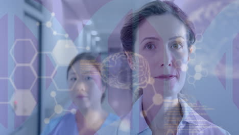 Animation-of-human-brain-and-data-processing-over-diverse-doctors