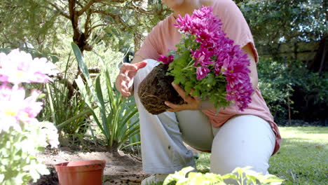 Feliz-Mujer-Birracial-Senior-Plantando-Flores-En-Un-Jardín-Soleado-En-Casa,-Cámara-Lenta