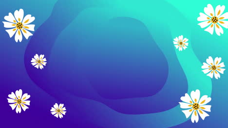 Animation-of-white-flowers-over-blue-background