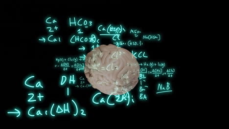 Animation-Des-Menschlichen-Gehirns-Und-Mathematische-Datenverarbeitung