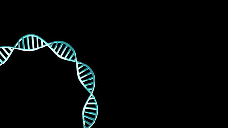 Animation-Eines-Sich-Drehenden-DNA-Strangs-Mit-Kopierraum-Auf-Schwarzem-Hintergrund
