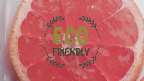 Animation-of-eco-friendly-text-over-fruit-falling-in-water-background