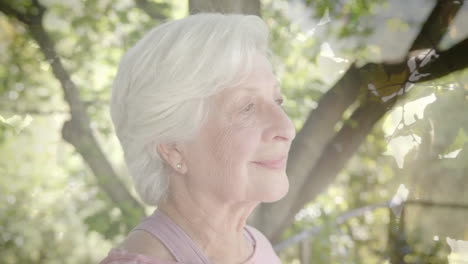 Animation-of-spots-of-light-and-trees-over-smiling-senior-caucasian-woman-in-garden