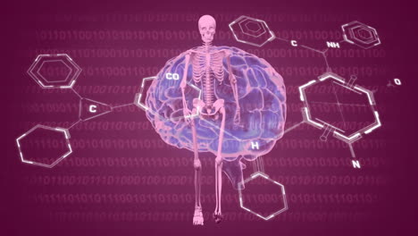 Animation-of-human-brain-and-scientific-data-processing