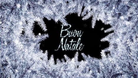 Animation-of-buon-natale-text-over-fir-tree-branches