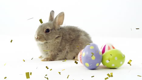 Animation-of-confetti-falling-over-rabbit-with-easter-eggs-on-white-background