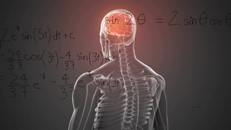 Animation-of-mathematical-data-processing-over-human-brain-and-body-on-grey-background