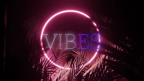 Animation-of-vibes-text-over-neon-shapes-and-plants