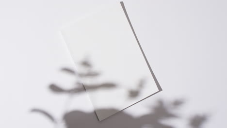 Video-of-shadow-of-plant-over-book-with-blank-white-pages-and-copy-space-on-white-background