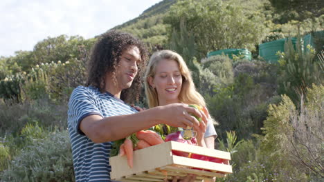 Happy-diverse-couple-holding-basket-of-fresh-vegetables-in-garden,-slow-motion