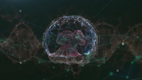 Animation-Von-Suchern-Auf-Rotierendem-Digitalem-Gehirn,-Verbundenen-Punkten,-DNA-Helix-Auf-Schwarzem-Hintergrund