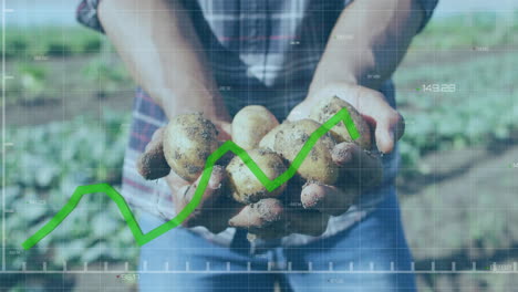 Animation-of-financial-data-processing-over-caucasian-man-holding-potatoes-in-garden