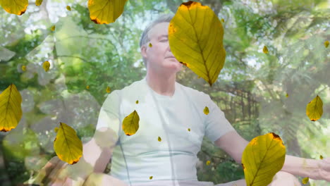 Animation-of-green-leaves-falling-over-caucasian-man-meditating-in-forest