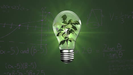 Animation-of-plant-in-light-bulb-with-mathematical-data-processing-on-green-background