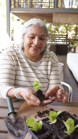 Happy-biracial-senior-woman-sitting-at-table-and-planting-plants-to-pots-on-porch,-vertical