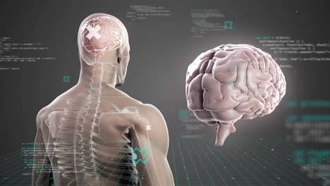 Animation-Des-Menschlichen-Gehirns-Mit-Körper-Und-Datenverarbeitung-Auf-Dunklem-Hintergrund