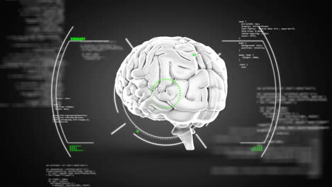 Animation-Des-Menschlichen-Gehirns-Und-Wissenschaftliche-Datenverarbeitung