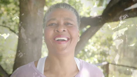 Animation-Von-Lichtflecken-Und-Bäumen-über-Einer-Lächelnden-älteren-Afroamerikanerin-Im-Garten