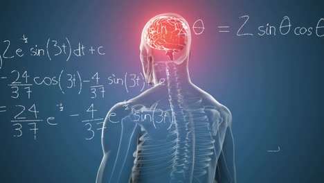 Animation-of-mathematical-data-processing-over-human-brain-on-blue-background