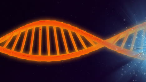 Animation-of-orange-dna-strand-and-glowing-lights-on-blue-background