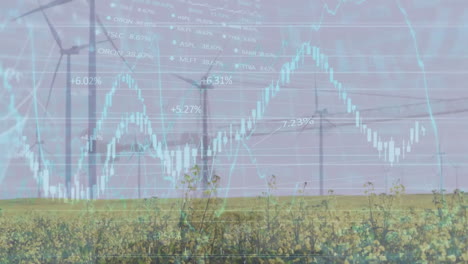 Animation-of-graphs,-changing-numbers-and-trading-board-over-spinning-windmills-on-grassy-land