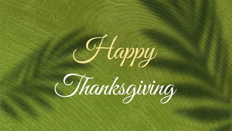 Animation-of-happy-thanksgiving-text-over-shadow-of-leaves-against-green-textured-wall
