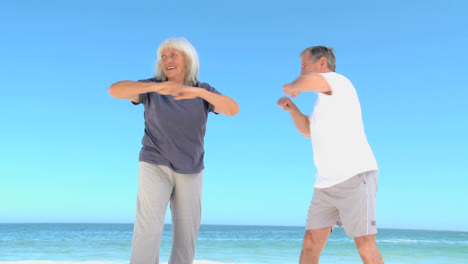 Älteres-Paar-Macht-Flexibilitätsübungen