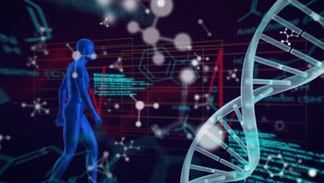 Animation-Der-Wissenschaftlichen-Datenverarbeitung-Und-Des-DNA-Strangs-über-Dem-Menschlichen-Körper