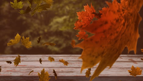 Animation-Von-Blättern,-Die-über-Holztischplatten-Und-Baumkronen-Wehen